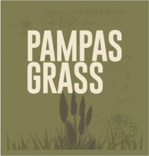 PAMPAS GRASS Logo (USPTO, 16.10.2019)