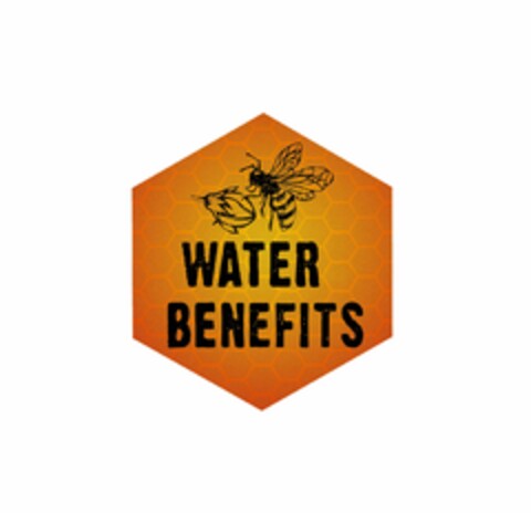 WATER BENEFITS Logo (USPTO, 11/14/2019)