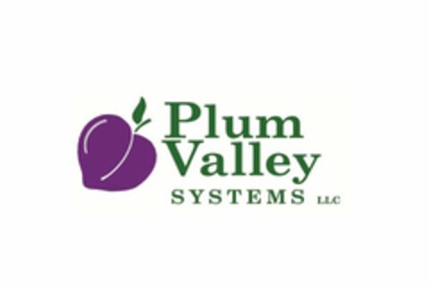 PLUM VALLEY SYSTEMS LLC Logo (USPTO, 11.05.2012)