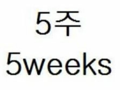 5WEEKS Logo (USPTO, 06.01.2017)