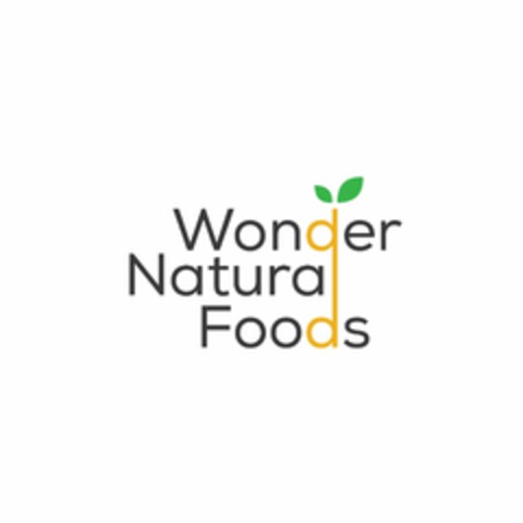 WONDER NATURAL FOODS Logo (USPTO, 08/01/2019)