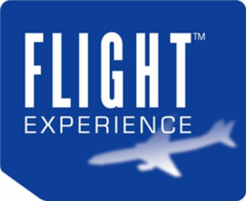 FLIGHT EXPERIENCE Logo (USPTO, 02.07.2009)