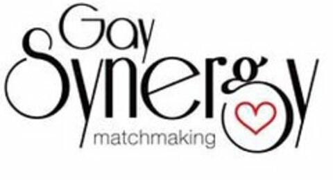 GAY SYNERGY MATCHMAKING Logo (USPTO, 02/22/2010)