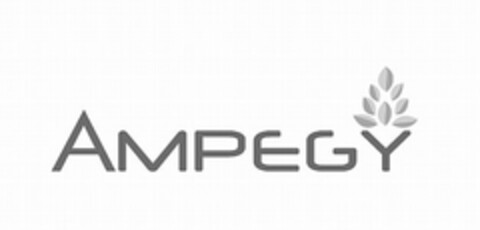 AMPEGY Logo (USPTO, 01/18/2011)