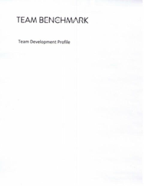 TEAM BENCHMARK TEAM DEVELOPMENT PROFILE Logo (USPTO, 06.08.2012)