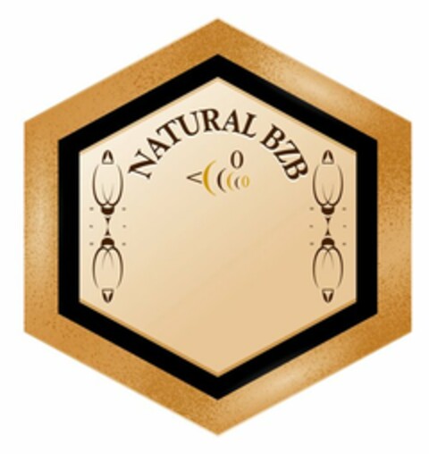 NATURAL BZB Logo (USPTO, 17.11.2016)