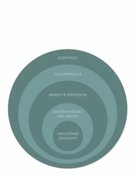 ADDICTION CODEPENDENCE ANXIETY & DEPRESSION ENVIRONMENTAL INFLUENCES HEIGHTENED SENSITIVITY Logo (USPTO, 03.08.2018)