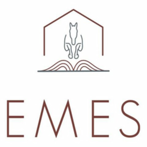 EMES Logo (USPTO, 12.11.2019)