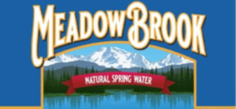 MEADOW BROOK NATURAL SPRING WATER Logo (USPTO, 15.04.2020)