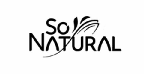 SO NATURAL Logo (USPTO, 04/13/2015)