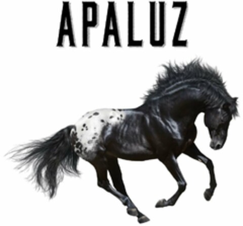 APALUZ Logo (USPTO, 30.10.2018)