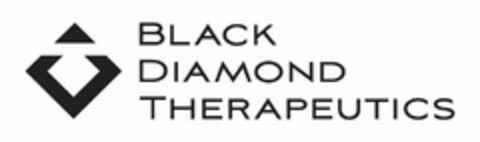 BLACK DIAMOND THERAPEUTICS Logo (USPTO, 02.08.2019)