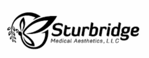 STURBRIDGE MEDICAL AESTHETICS, LLC Logo (USPTO, 09/19/2014)