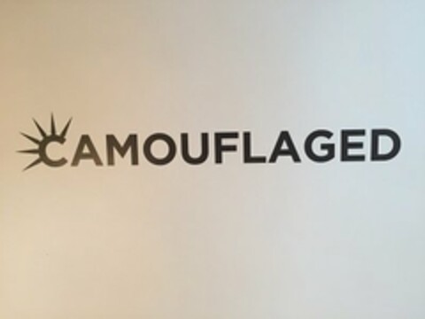 CAMOUFLAGED Logo (USPTO, 07.02.2017)