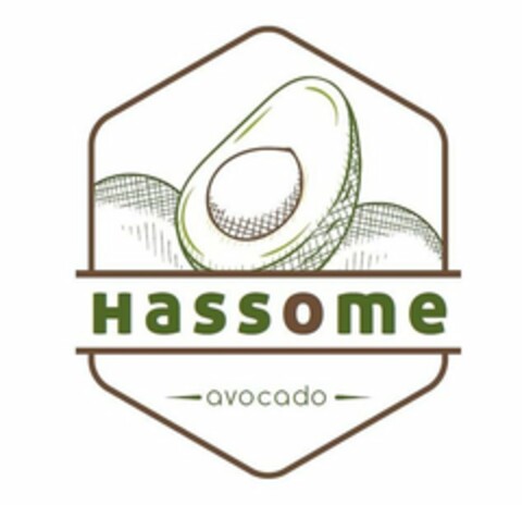 HASSOME AVOCADO Logo (USPTO, 15.11.2017)