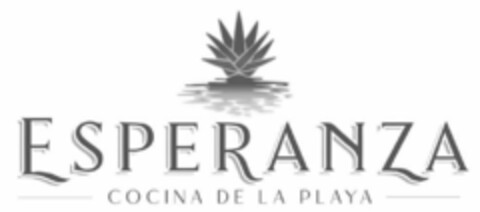 ESPERANZA COCINA DE LA PLAYA Logo (USPTO, 09.08.2019)