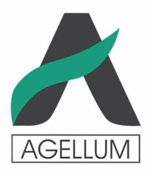 A AGELLUM Logo (USPTO, 04.02.2020)