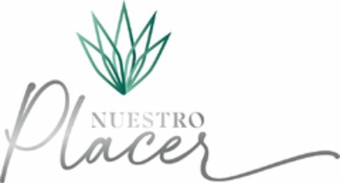 NUESTRO PLACER Logo (USPTO, 08/14/2020)