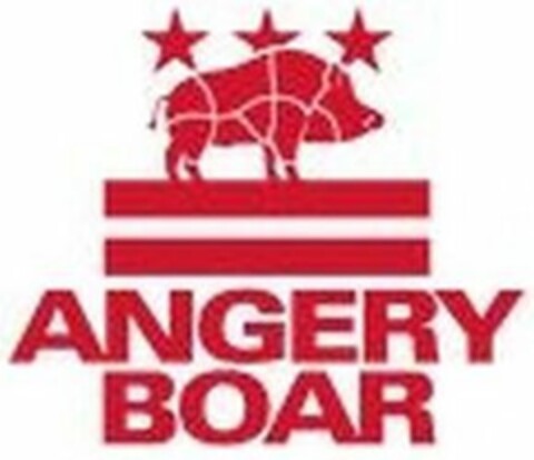 ANGERY BOAR Logo (USPTO, 10/18/2019)