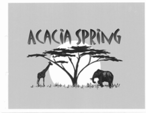 ACACIA SPRING Logo (USPTO, 11/15/2011)