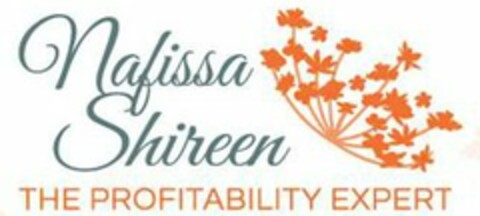 NAFISSA SHIREEN THE PROFITABILITY EXPERT Logo (USPTO, 07/15/2014)