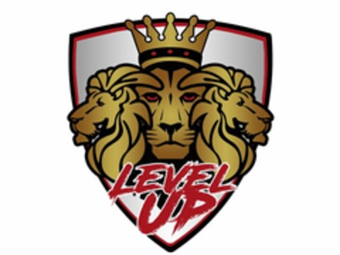 LEVEL UP Logo (USPTO, 01.12.2016)