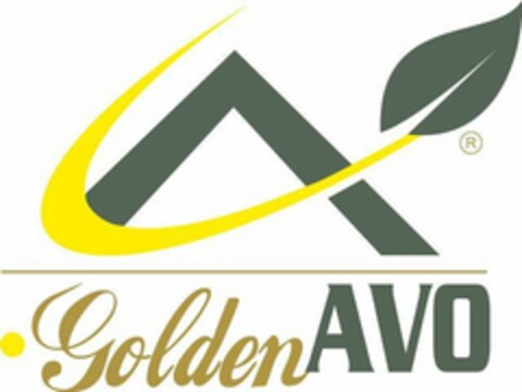 A GOLDENAVO Logo (USPTO, 10/29/2019)