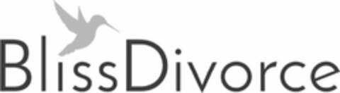 BLISSDIVORCE Logo (USPTO, 31.07.2020)