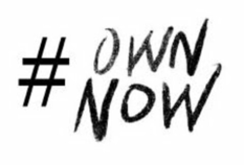 #OWNNOW Logo (USPTO, 29.10.2013)