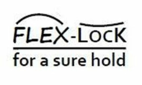 FLEX-LOCK FOR A SURE HOLD Logo (USPTO, 19.11.2013)