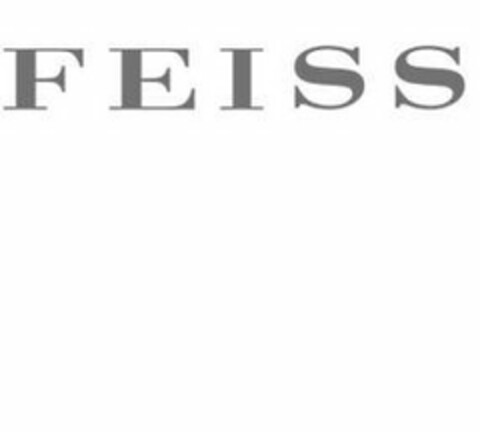 FEISS Logo (USPTO, 12.06.2018)