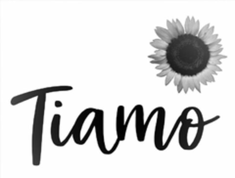 TIAMO Logo (USPTO, 07/15/2019)