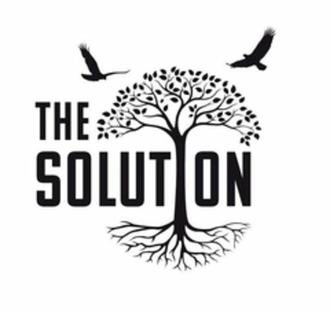 THE SOLUTION Logo (USPTO, 04.08.2020)