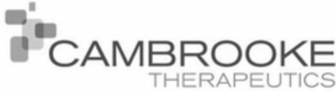 CAMBROOKE THERAPEUTICS Logo (USPTO, 05.10.2016)