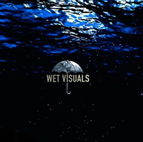 WET VISUALS Logo (USPTO, 20.08.2018)