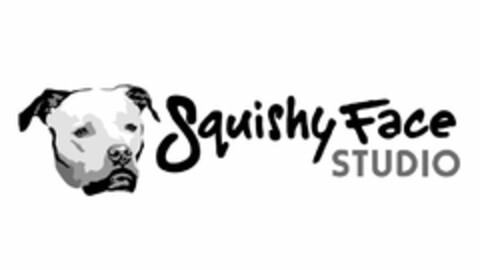 SQUISHY FACE STUDIO Logo (USPTO, 03/17/2019)