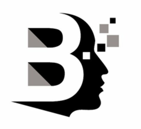 B Logo (USPTO, 11.06.2015)