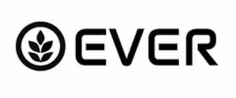 EVER Logo (USPTO, 04/27/2016)