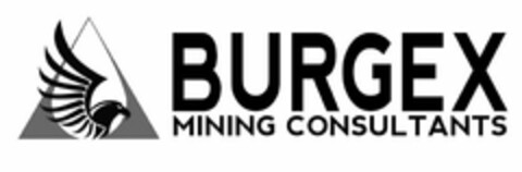 BURGEX MINING CONSULTANTS Logo (USPTO, 27.01.2018)