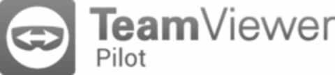 TEAMVIEWER PILOT Logo (USPTO, 12/17/2018)