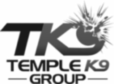 TK9 TEMPLE K9 GROUP Logo (USPTO, 25.01.2019)