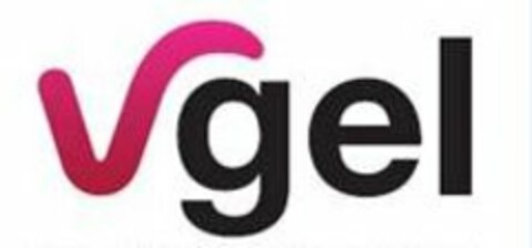 VGEL Logo (USPTO, 03.11.2011)