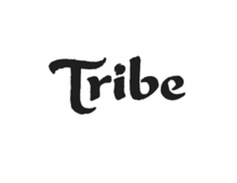 TRIBE Logo (USPTO, 13.08.2014)