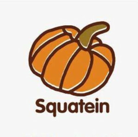 SQUATEIN Logo (USPTO, 12.10.2018)