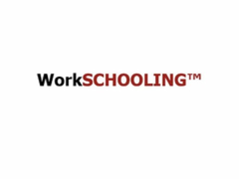 WORKSCHOOLING Logo (USPTO, 02/10/2020)