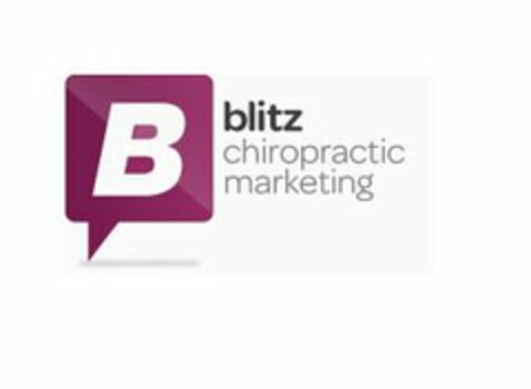 B BLITZ CHIROPRACTIC MARKETING Logo (USPTO, 24.03.2010)