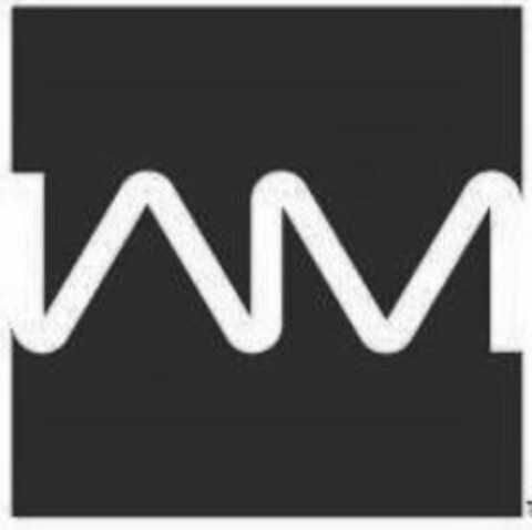 IAM Logo (USPTO, 20.05.2016)