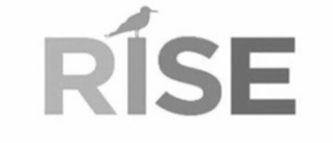 RISE Logo (USPTO, 15.02.2019)