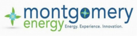 MONTGOMERY ENERGY ENERGY. EXPERIENCE. INNOVATION. Logo (USPTO, 22.01.2009)