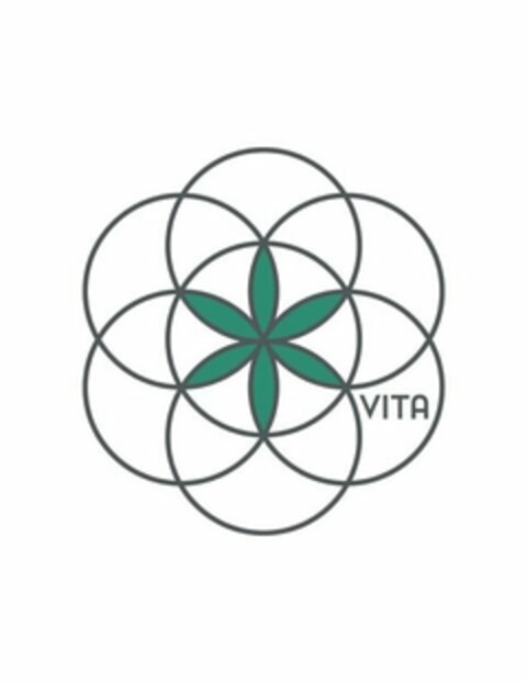 VITA Logo (USPTO, 25.10.2016)